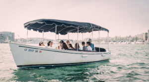 12 Passenger Electric Boat