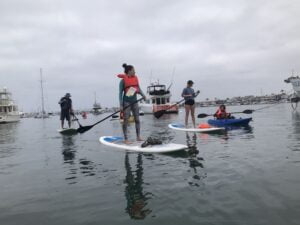 Stand Up Paddle Board in Newport