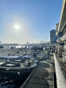 Boat Dock in Newport Beach